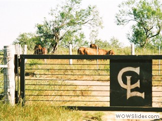 cattle_gate
